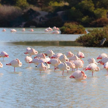 Вилла Casa El Oasis Кальпе Экстерьер фото